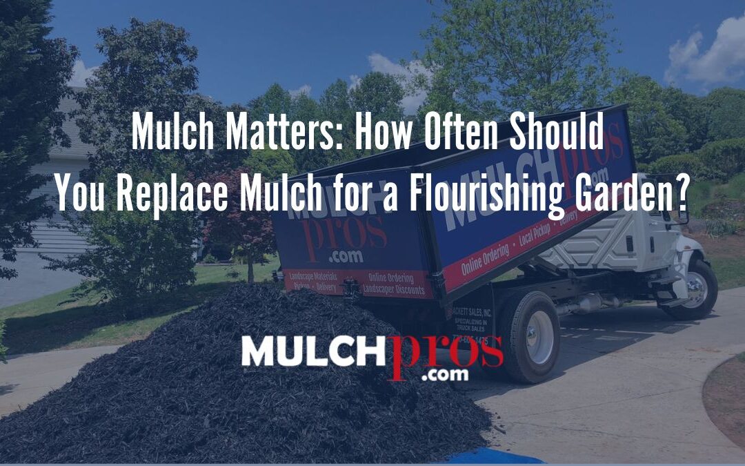 Mulch Matters: How Often Should You Replace Mulch for a Flourishing Garden?