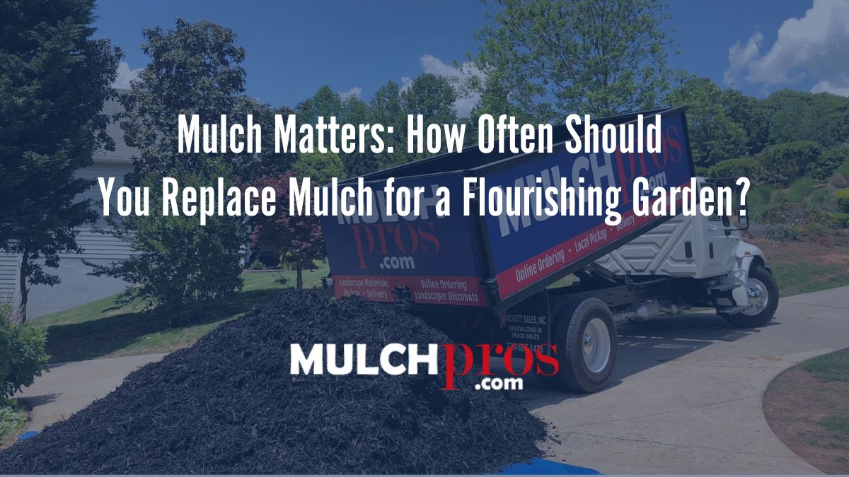 Mulch Matters: How Often Should You Replace Mulch for a Flourishing Garden?