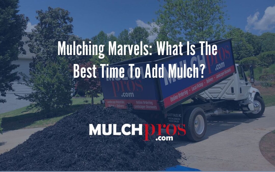 Mulching Marvels: What Is The Best Time To Add Mulch?