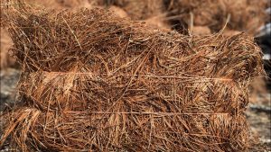 Pine Straw Products
