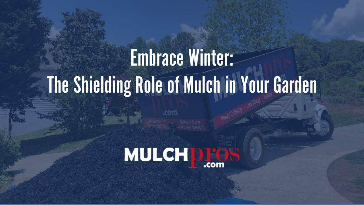 Embrace Winter: The Shielding Role of Mulch in Your Garden
