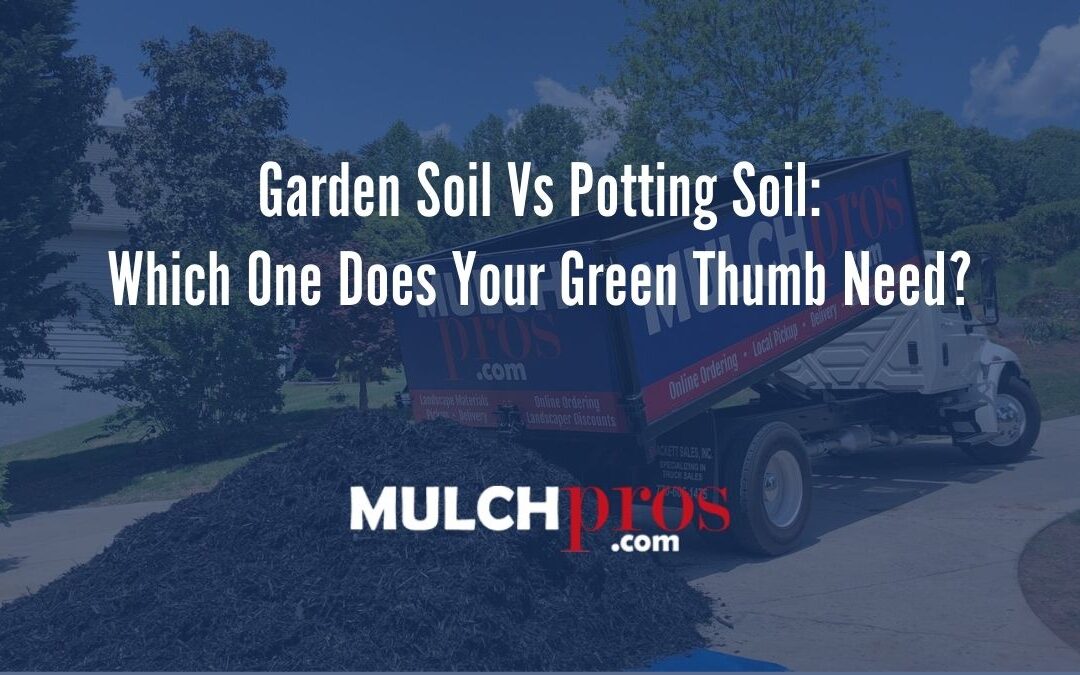 Garden Soil Vs Potting Soil: Which One Does Your Green Thumb Need?