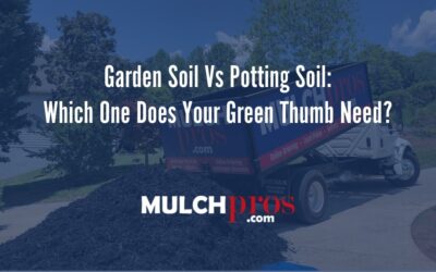 https://k5b9p7v4.rocketcdn.me/wp-content/uploads/2023/12/garden-soil-vs-potting-soil-which-one-does-your-green-thumb-need-400x250.jpg