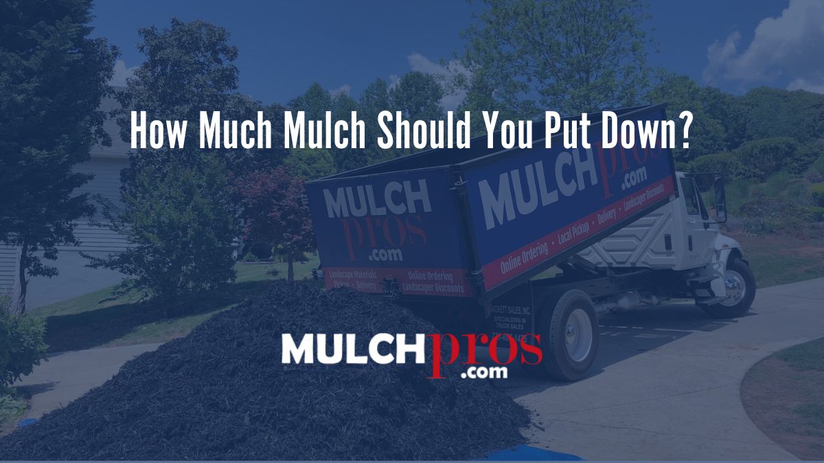 How Much Mulch Should You Put Down?