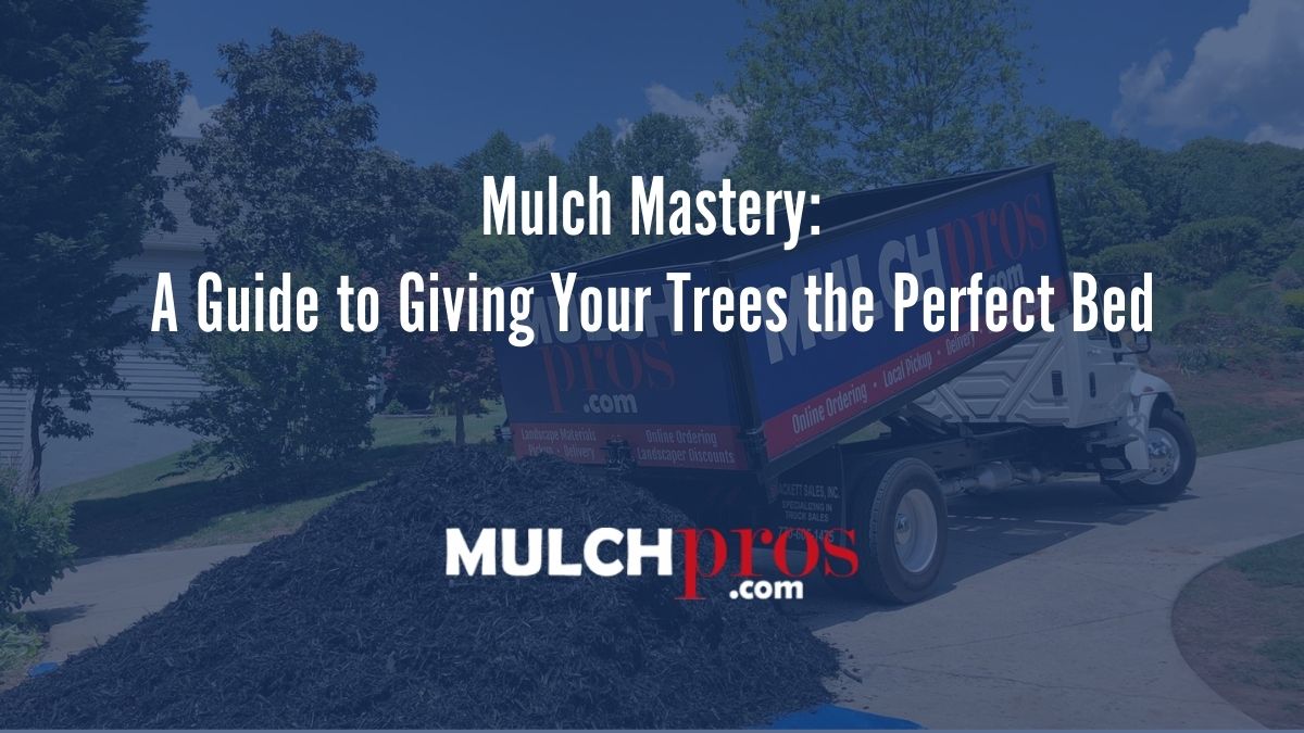 Mulch Mastery: A Guide to Giving Your Trees the Perfect Bed