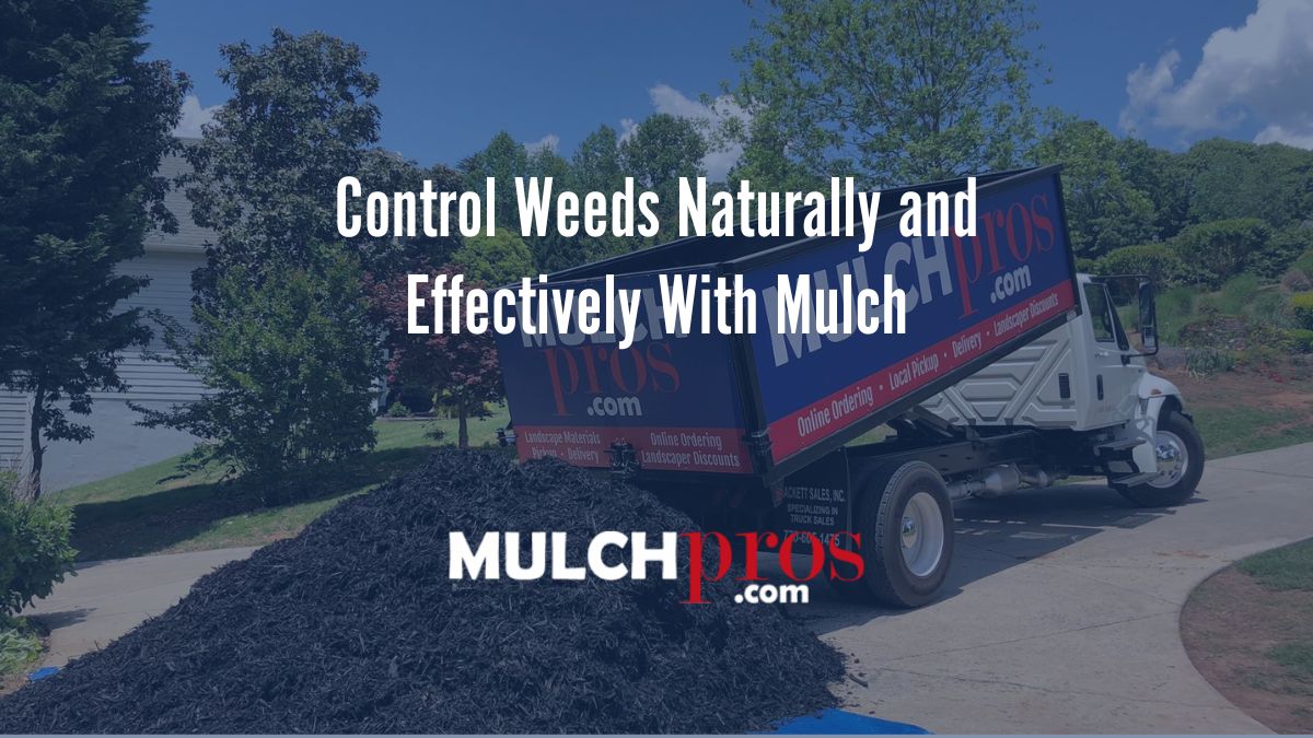 Control Weeds Naturally and Effectively With Mulch