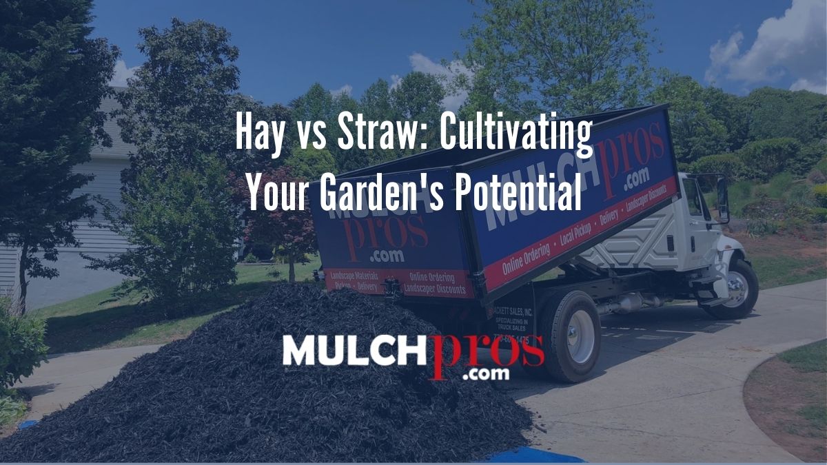 Hay vs Straw: Cultivating Your Garden's Potential
