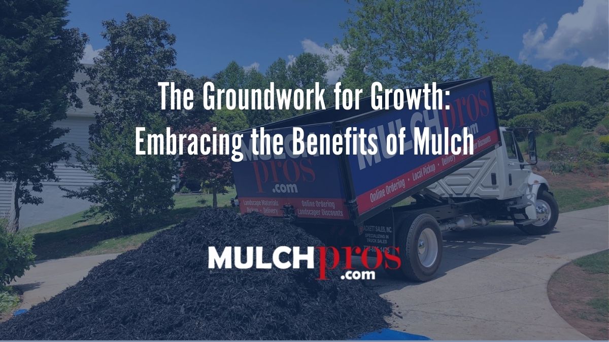 The Groundwork for Growth: Embracing the Benefits of Mulch