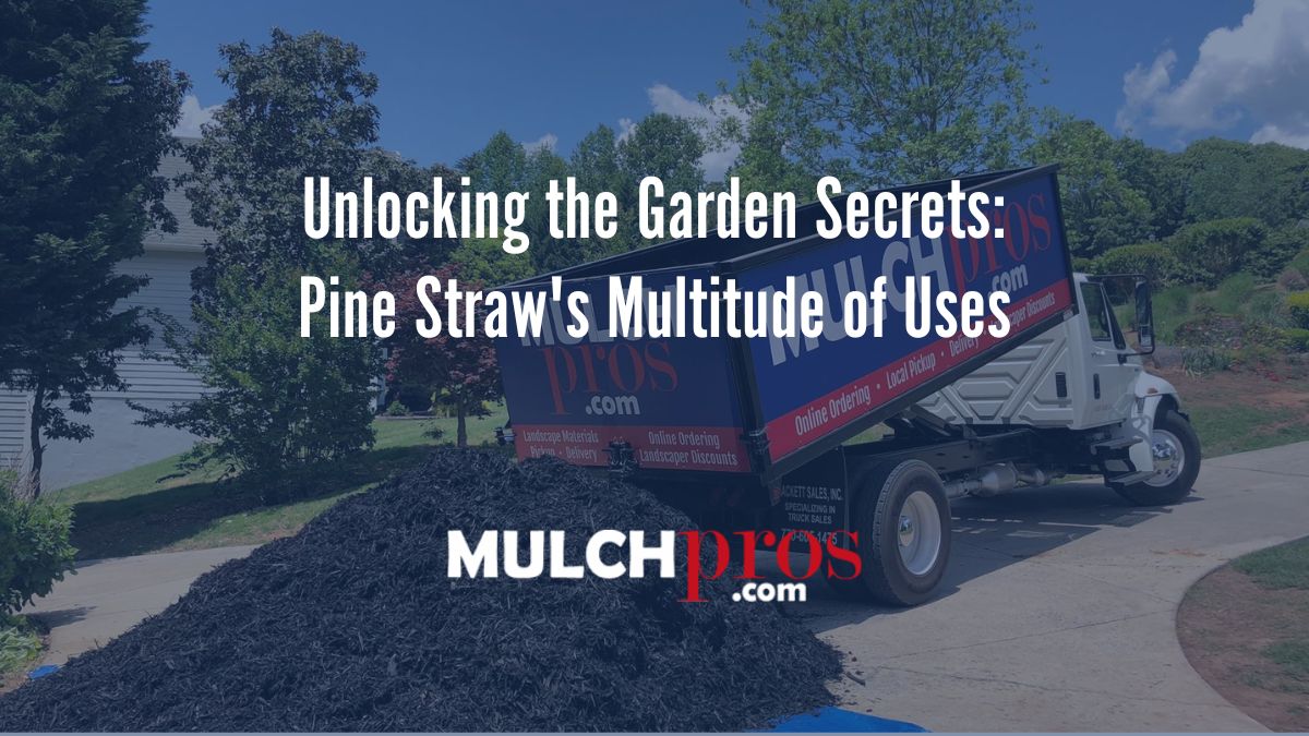 Unlocking the Garden Secrets: Pine Straw's Multitude of Uses