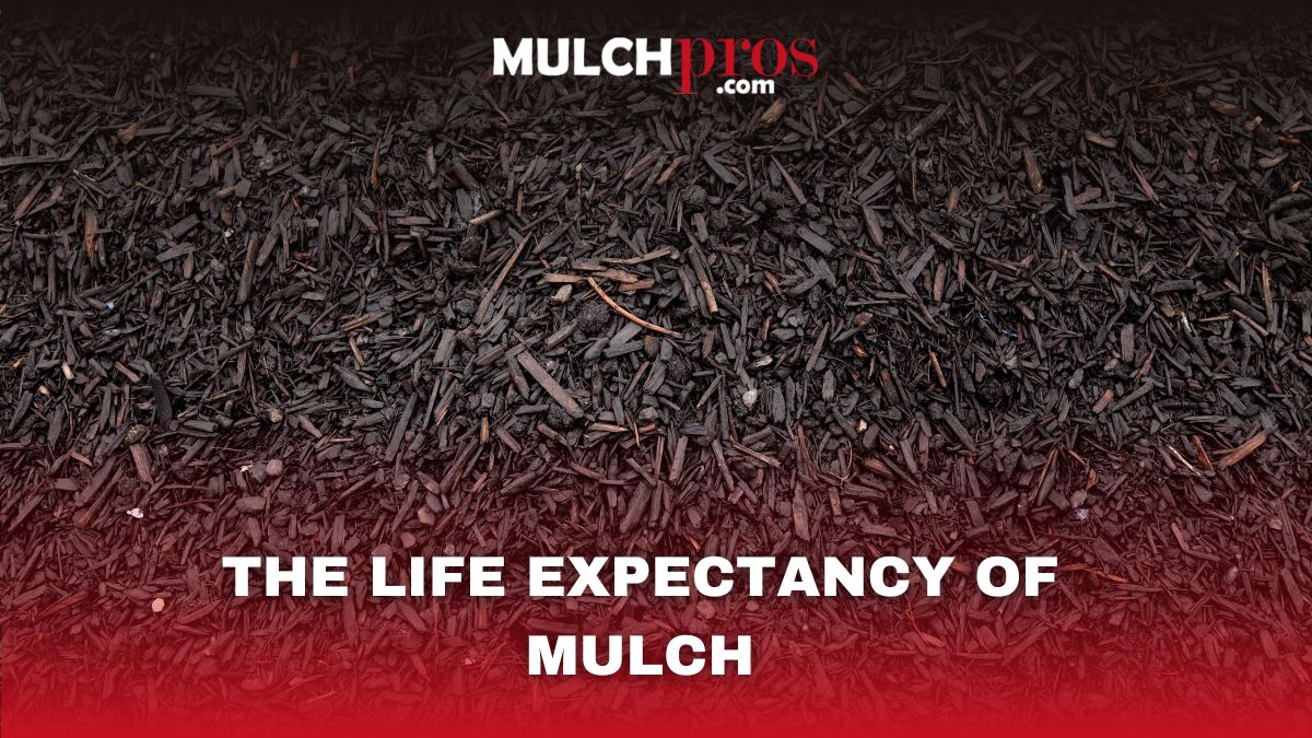 The Life Expectancy of Mulch