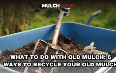 What to Do With Old Mulch: 6 Ways to Recycle Your Old Mulch