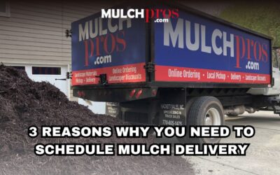 3 Reasons Why You Need to Schedule Mulch Delivery
