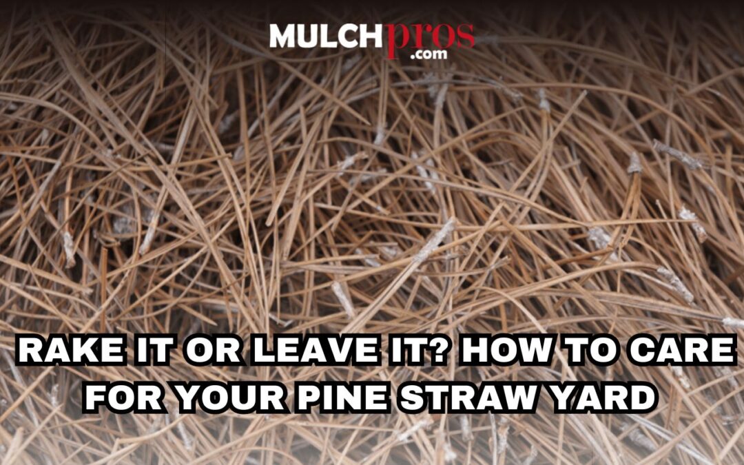 Rake It or Leave It? How to Care for Your Pine Straw Yard